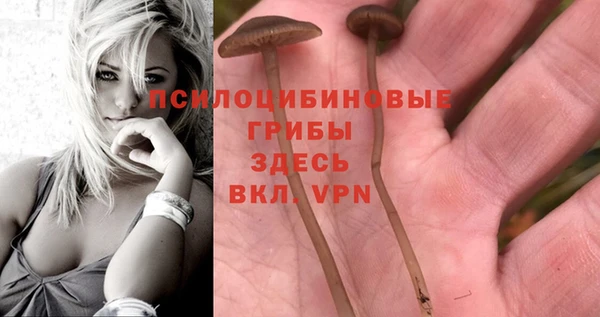 прущий лед Касимов